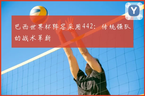巴西世界杯阵容采用442：传统强队的战术革新