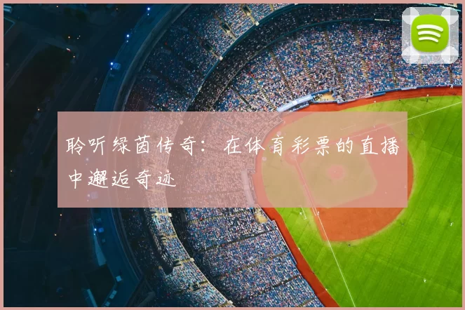 聆听绿茵传奇：在体育彩票的直播中邂逅奇迹