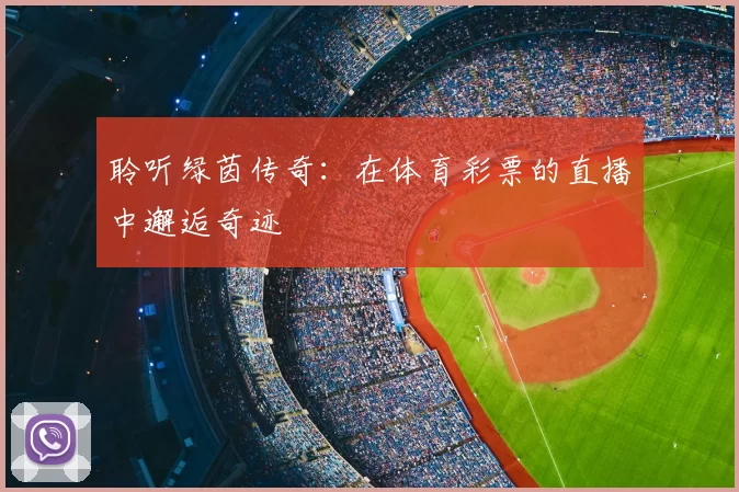 聆听绿茵传奇：在体育彩票的直播中邂逅奇迹