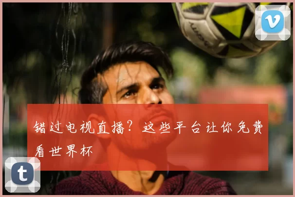 错过电视直播？这些平台让你免费看世界杯