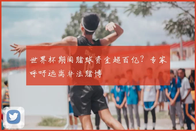 世界杯期间赌球资金超百亿？专家呼吁远离非法赌博