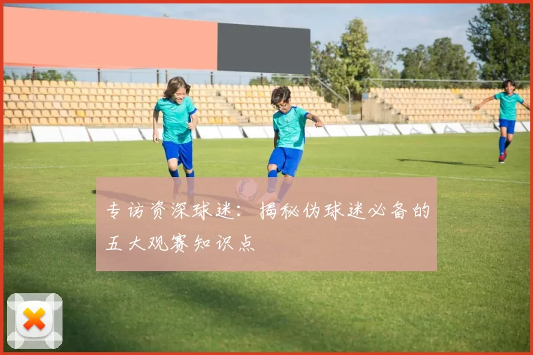 专访资深球迷:揭秘伪球迷必备的五大观赛知识点