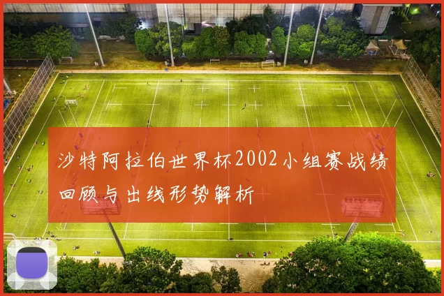 沙特阿拉伯世界杯2002小组赛战绩回顾与出线形势解析