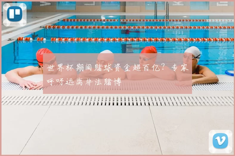 世界杯期间赌球资金超百亿？专家呼吁远离非法赌博