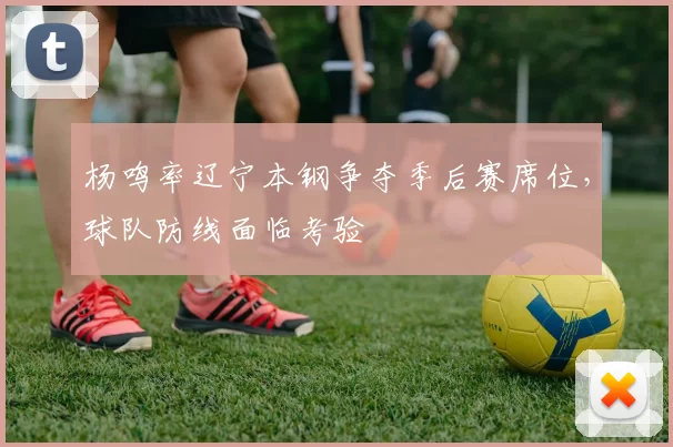 杨鸣率辽宁本钢争夺季后赛席位，球队防线面临考验