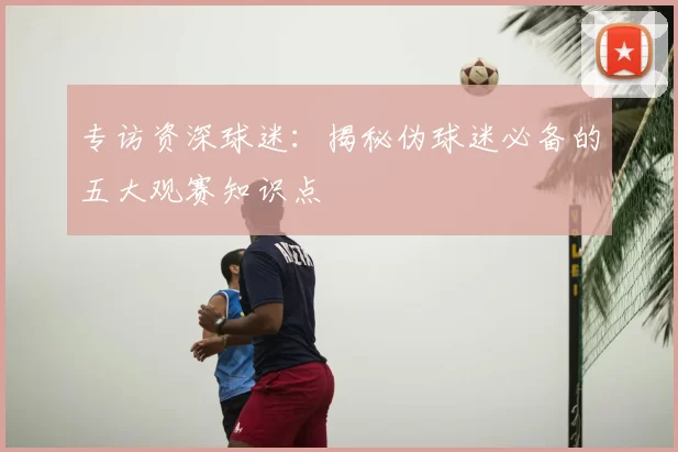 专访资深球迷:揭秘伪球迷必备的五大观赛知识点