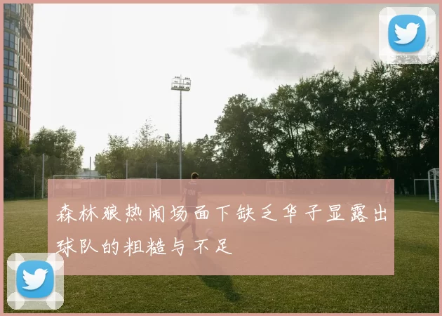 森林狼热闹场面下缺乏华子显露出球队的粗糙与不足