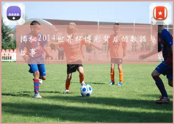 揭秘2014世界杯博彩背后的数据与故事