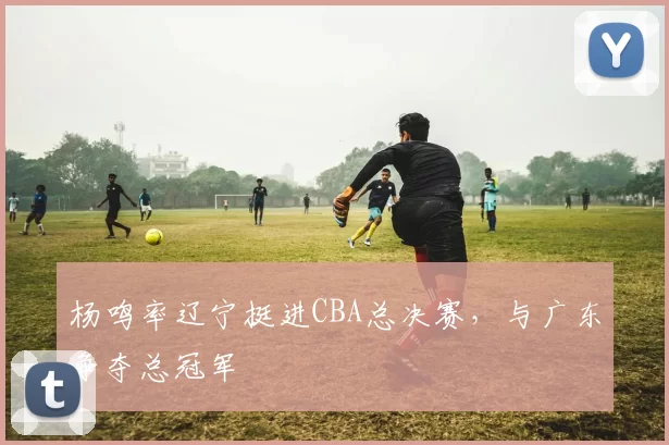 杨鸣率辽宁挺进CBA总决赛，与广东争夺总冠军