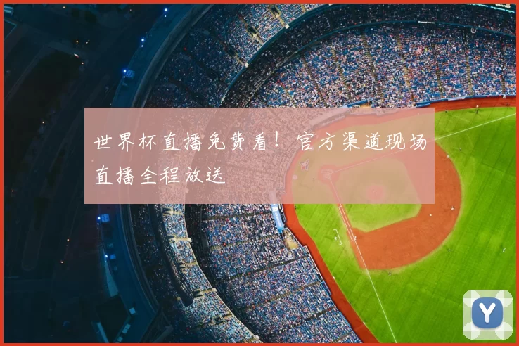 世界杯直播免费看!官方渠道现场直播全程放送